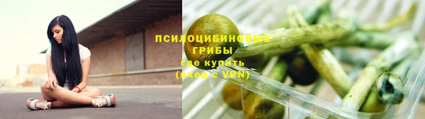 ПСИЛОЦИБИНОВЫЕ ГРИБЫ Володарск